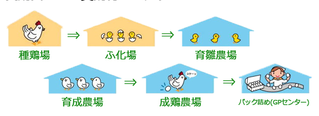 招福たまご(Sサイズ) 30個詰め | 養鶏農場の産直たまご通販ショップ 愛たまご 