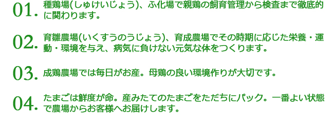 招福たまご(Sサイズ) 30個詰め | 養鶏農場の産直たまご通販ショップ 愛たまご 