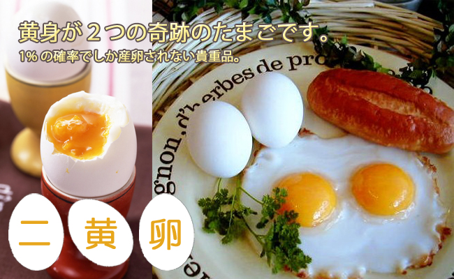 二黄卵　 20個詰め | 養鶏農場の産直たまご通販ショップ 愛たまご