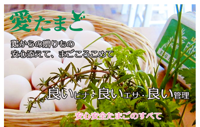 オムレツセット（紅たまご5０個＋トマトケチャップ２本） 養鶏農場の産直通販ショップ 愛たまご