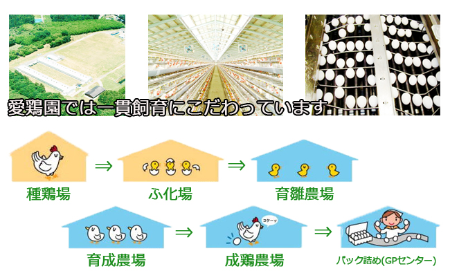 オムレツセット（紅たまご5０個＋トマトケチャップ２本） 養鶏農場の産直通販ショップ 愛たまご